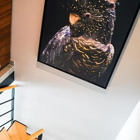 Le Paradis D'henri * Hannut