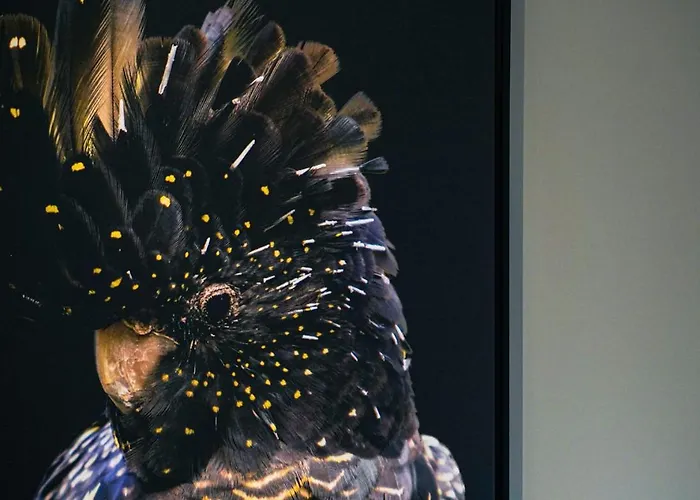 Casa de Férias Le Paradis D'henri *